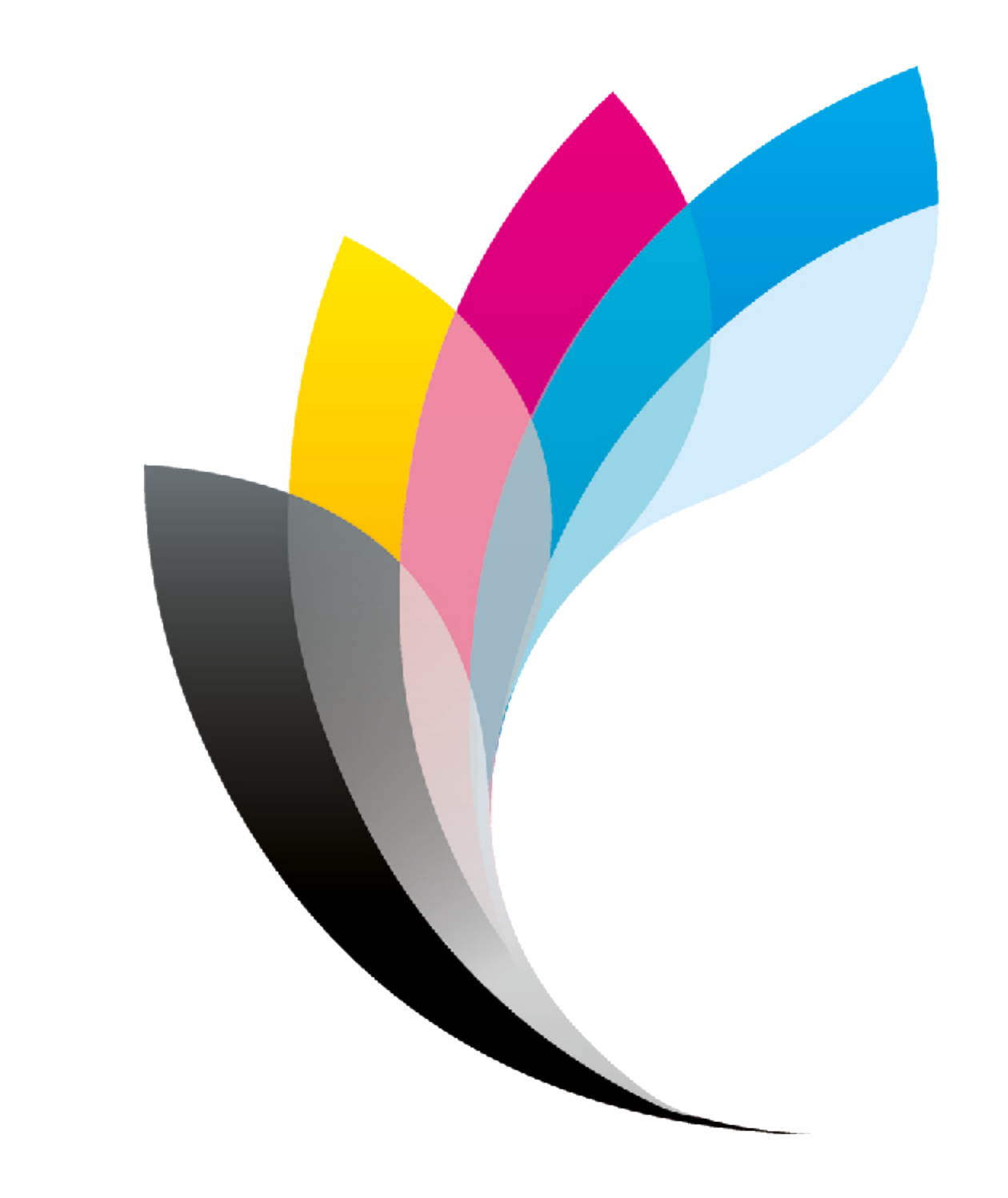 Jyoti Group